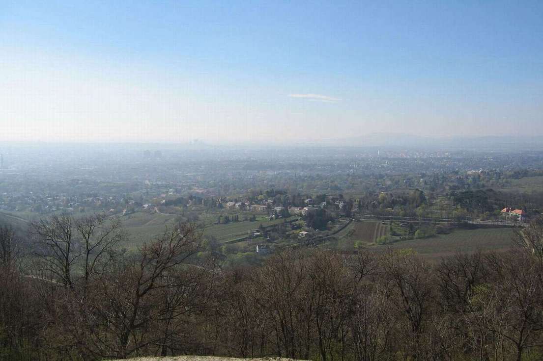 Вид с холма Каленберг на Вену