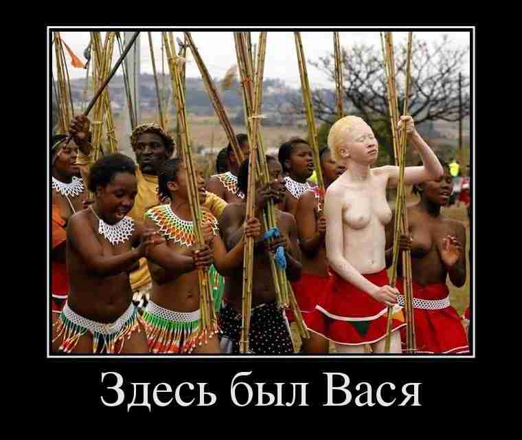 демотиватор с альбиносом в африке здесь был вася демотиватор